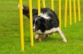 2013-05-19 um 13-39-09 (1)